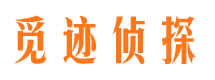 正定外遇出轨调查取证